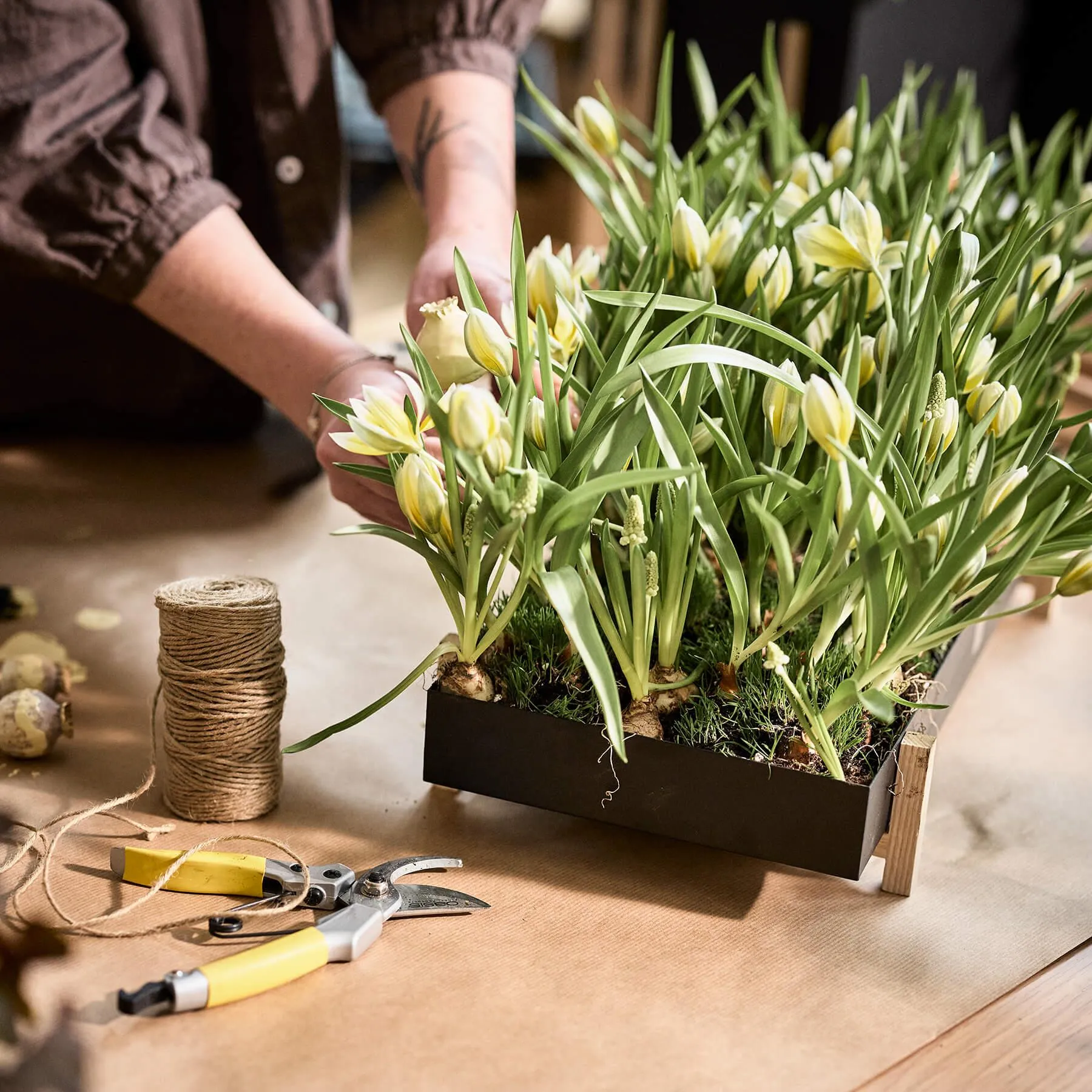 Design House Stockholm Botanic Tray