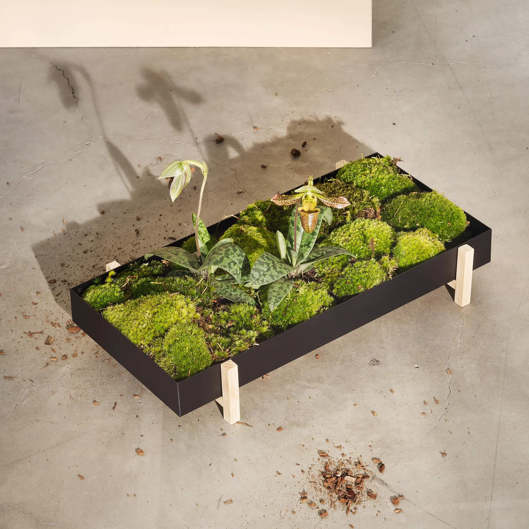 Design House Stockholm Botanic Tray