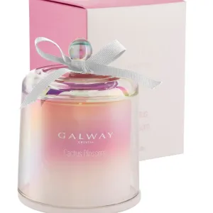 Galway Crystal Cactus Blossom Bell Jar Candle