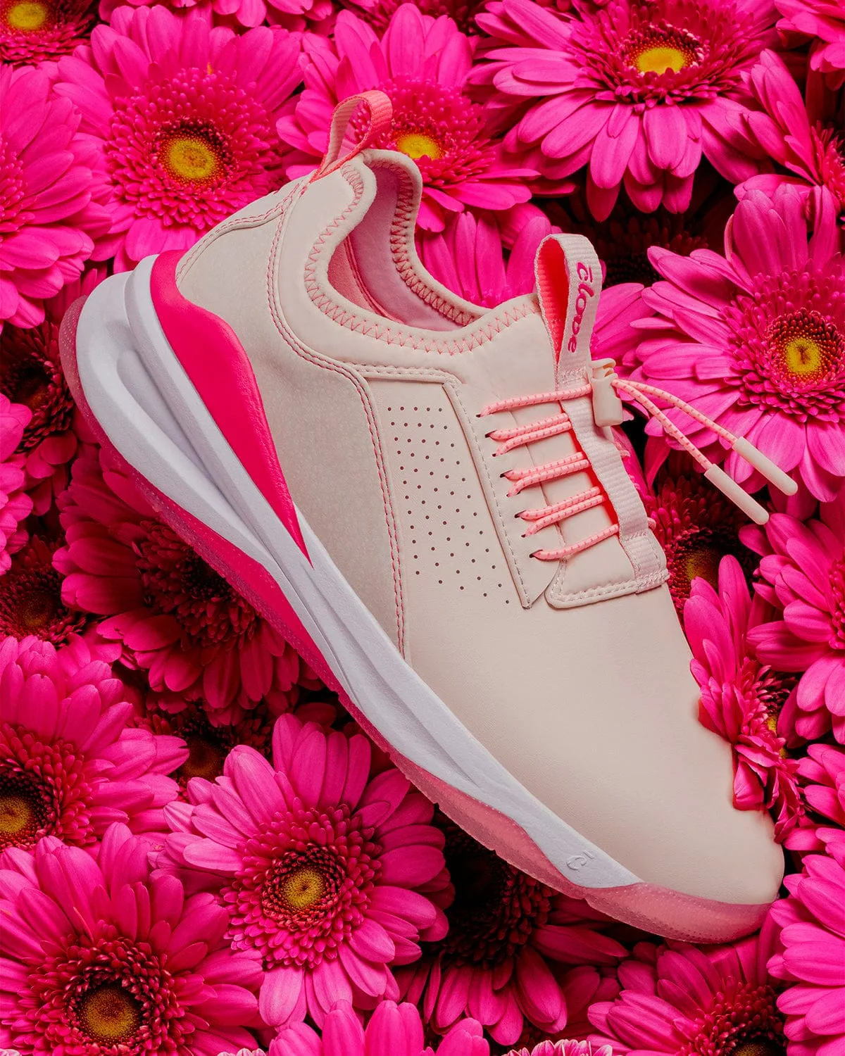 Women's Classic - Triple Pink